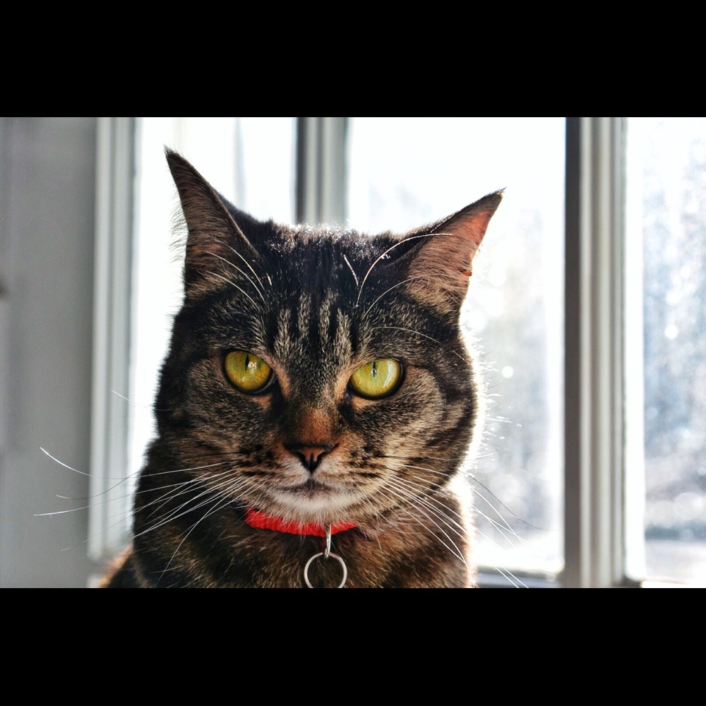 Meet your Posher, Marlene